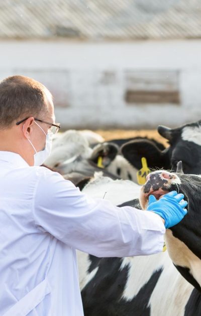 depositphotos_56121849_original